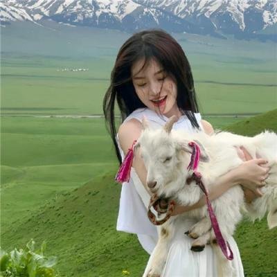 猛犸复活
